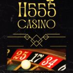 H555 Game
